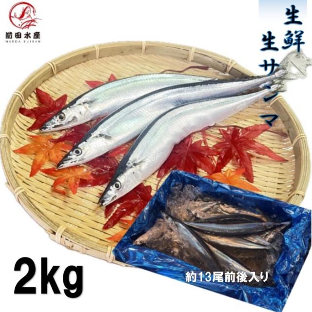 日欧商事】 冷凍モッツアレラバッカ IQF パールタイプ 5G 冷凍 5セット